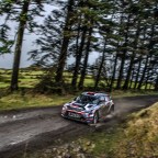 2022 Killarney forestry rally confirmed ￼