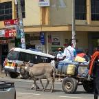 Safari Rally hometown – behind the scenes of this mad, crazy town called Naivasha – photos and video
