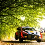 The latest silly season rumour to emerge from New Zealand is that Tanak could retire at season end?