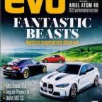 Fallen Leaves Drive: Recreating Evo Magic in Kerry