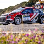 Massive Irish interest in ERC Bauhaus Royal Rally of Scandinavia