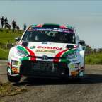 One driver and six co-drivers fly the Kerry flag in Carlow
