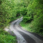 Coroner Makes 16 Recommendations Following Killarney Forestry Rally Inquest