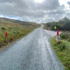Behind the Scenes: The Unsung Heroes Keeping the Cork 20 on Track